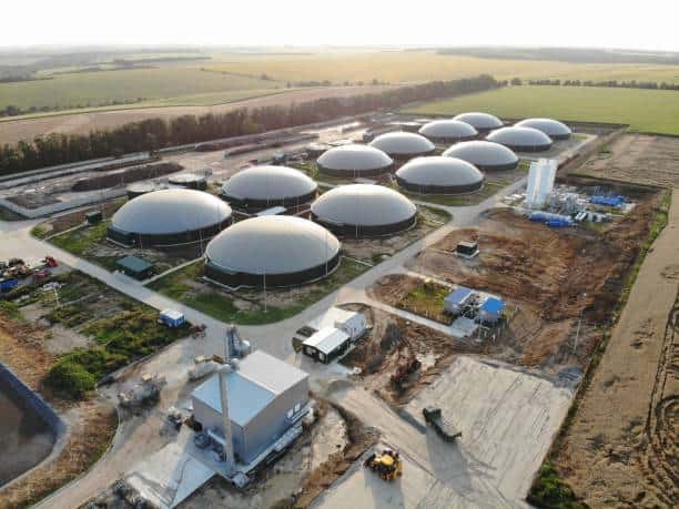 Biomass Heating Plant Market Dynamics: In-Depth Analysis and Regional Breakdown