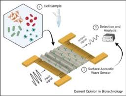 Surface Acoustic Wave Sensor Market Innovations: Trends and Strategic ...